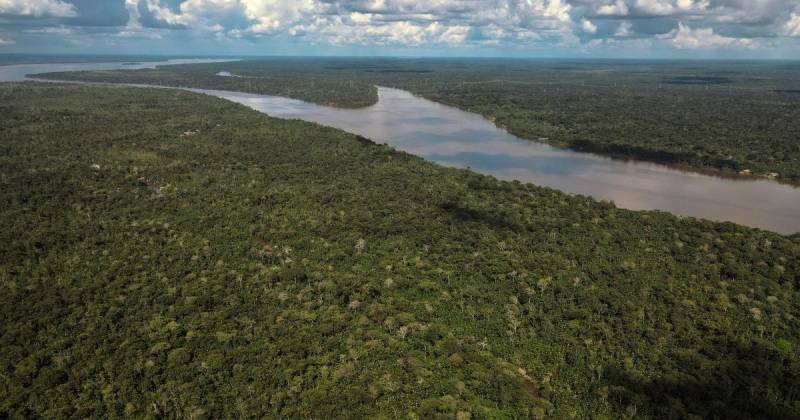La comisaria aseguró que el Ejecutivo sigue comprometido contra la deforestación / Foto: EFE 