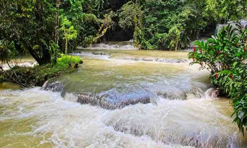 El encuentro, denominado “Ríos Bajo Presión”, reunió a científicos, autoridades locales y defensores de derechos / Foto: cortesía El Comercio