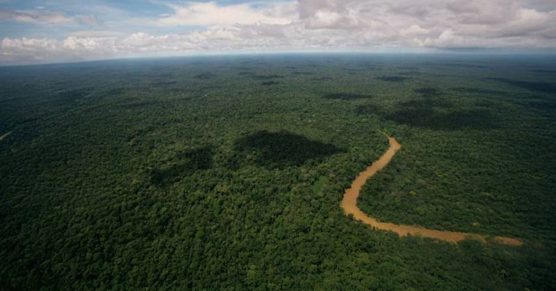 El Programa Biocorredor Amazónico busca preservar ecosistemas terrestres y de agua dulce / Foto: cortesía MAE