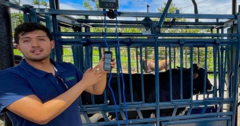 Los equipos permiten inmovilizar al animal de forma segura para realizar vacunaciones, desparasitaciones, inseminación artificial... / Foto: cortesía MAGP