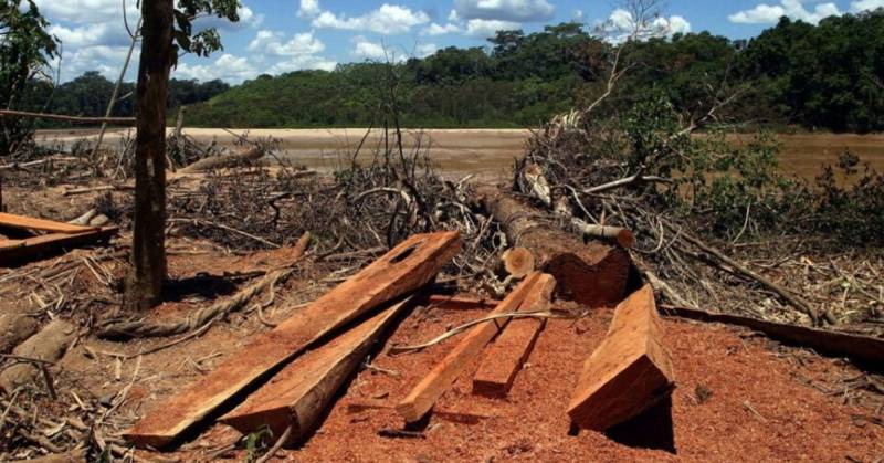 Informes recientes subrayan el impacto de la minería ilegal como una amenaza directa a la Amazonía / Foto: cortesía