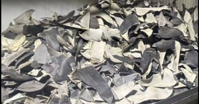 Tres personas de la banda fueron detenidas / Foto: cortesía 