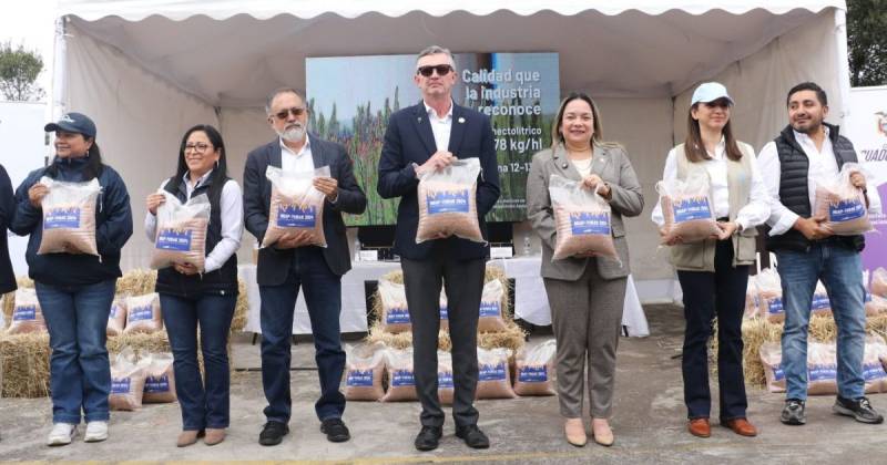 Esta variedad presenta un rendimiento potencial de 7 a 8 toneladas por hectárea / Foto: cortesía Ministerio de Agricultura