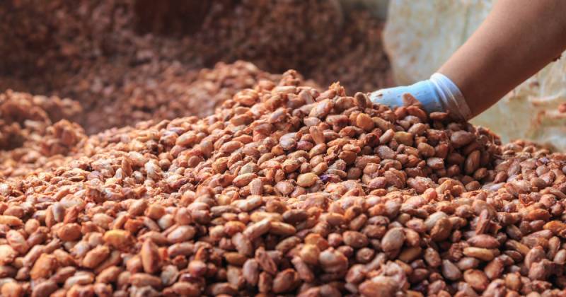 Se prevé una ligera normalización en los costos de producción durante los próximos meses / Foto: cortesía