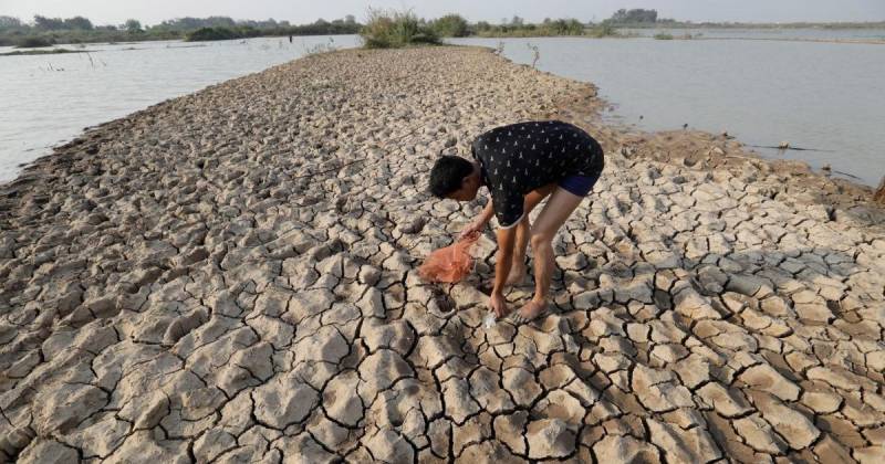 El estudio explora cómo los cambios en las condiciones oceánicas y atmosféricas provocados por El Niño y La Niña alteran los ecosistemas marinos / Foto: EFE