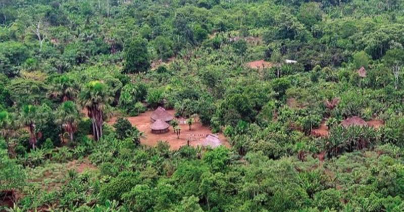 En abril, Taisha sufrió un brote de la bacteria leptospira, causante de la leptospirosis / Foto: cortesía