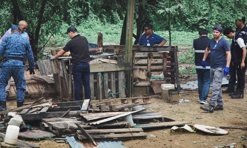 El operativo se llevó a cabo en el bosque protector Cerro Colorado / Foto: cortesía Municipio de Guayaquil