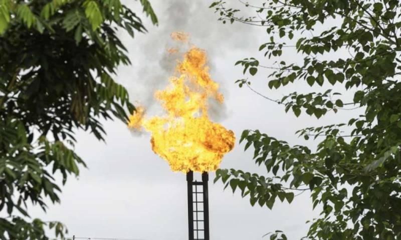 Petroamazonas EP produce alrededor de 425.000 barriles equivalentes de petróleo por día, con un costo total promedio de $ 17,89 por barril. Foto: El Telégrafo