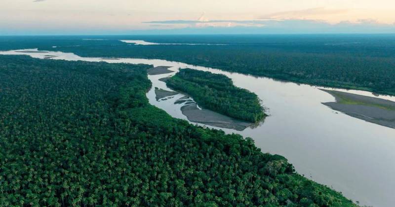 La conformación del comité se realizó en el marco del proyecto Bosques Amazónicos ASL2 / Foto: cortesía Profonanpe