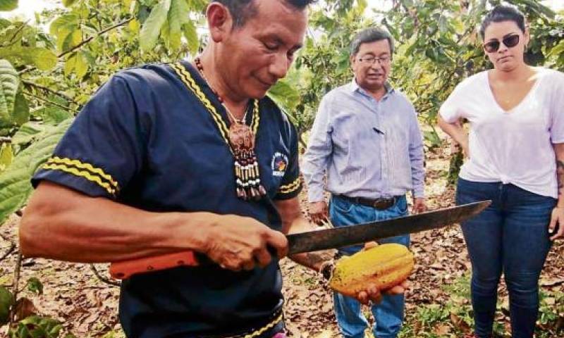 Foto: El Diario