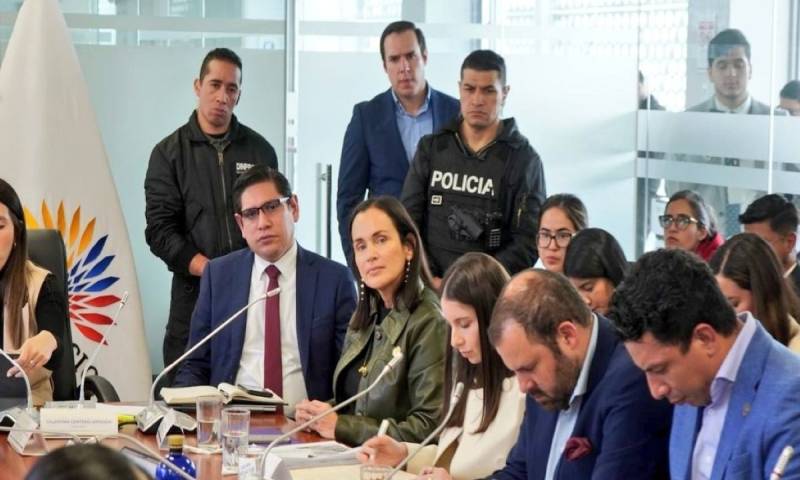 La resolución se adoptó con seis votos a favor y tres en contra / Foto: cortesía MAE