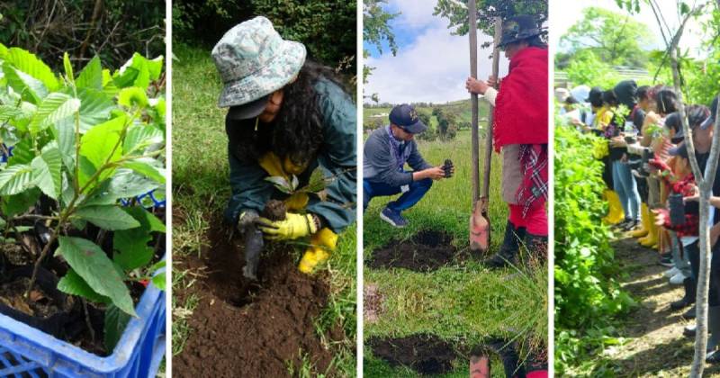 600 personas, entre técnicos, ‘Jóvenes en Acción’ y voluntarios, participaron / Foto: cortesía MAATE