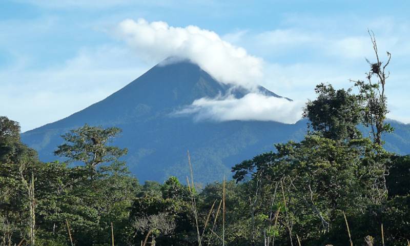 El volcán Sumaco, un universo de vida invisible aún por descifrar en Ecuador / Foto: EFE