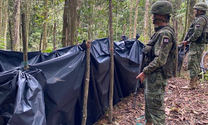 Estos hallazgos son cada vez más frecuentes en la provincia/ Foto: Cortesía FFAA