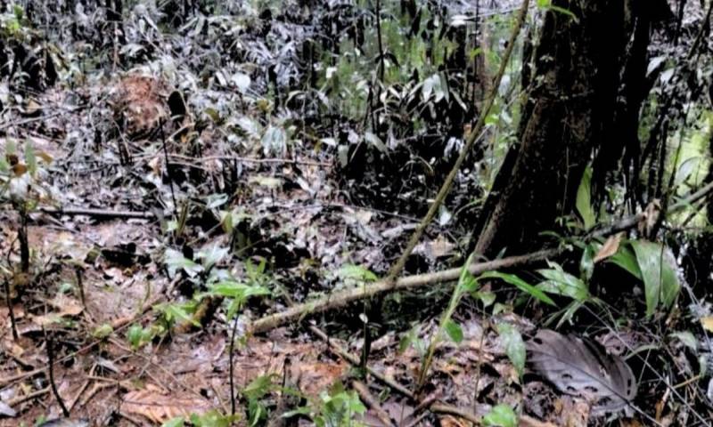 Se presume que el incidente ocurrió debido a una falla en una de las válvulas del sistema de transporte / Foto: cortesía