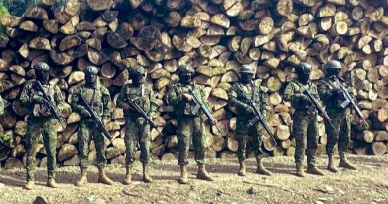 La operación militar se realizó en el sector de Tipishca, provincia de Sucumbíos / Foto: cortesía Ejército ecuatoriano