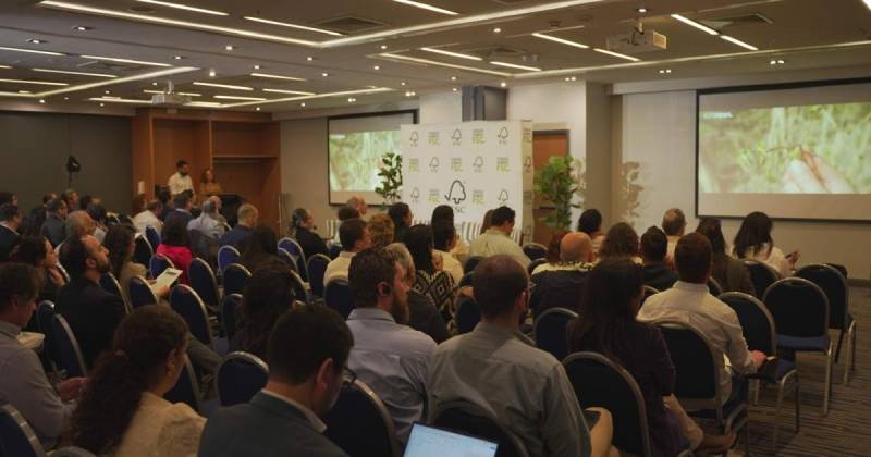 Esta propuesta busca cuantificar el valor real que aportan los bosques y las áreas naturales al clima, la economía y las comunidades / Foto: cortesía