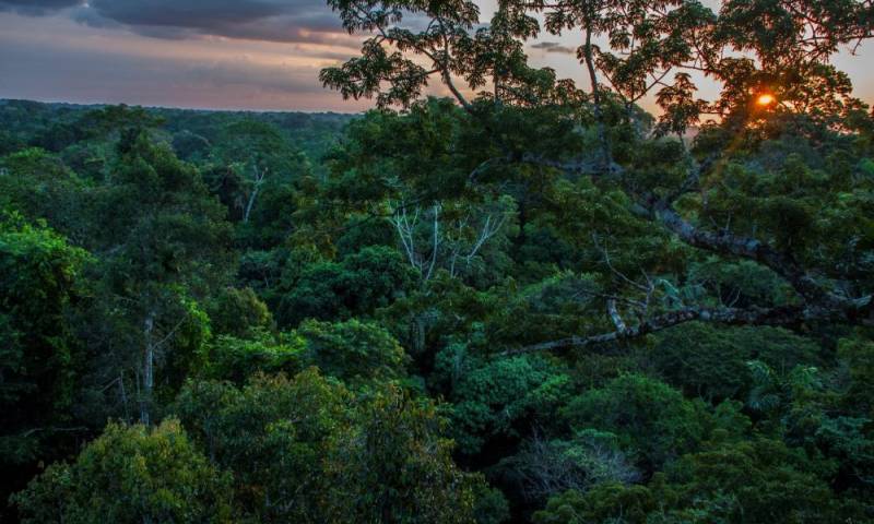 Foto: Mongabay