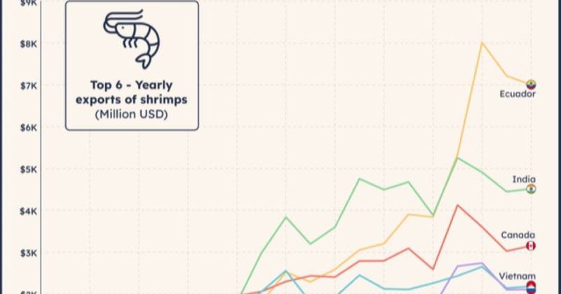 El reporte muestra que Ecuador encabeza actualmente el ranking global con ventas que rondan los $ 9.000 millones anuales / Foto: cortesía