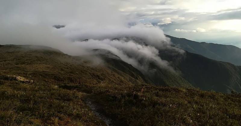 El Parque Nacional Podocarpus recibe entre 7.000 y 8.000 turistas al año / Foto: EFE