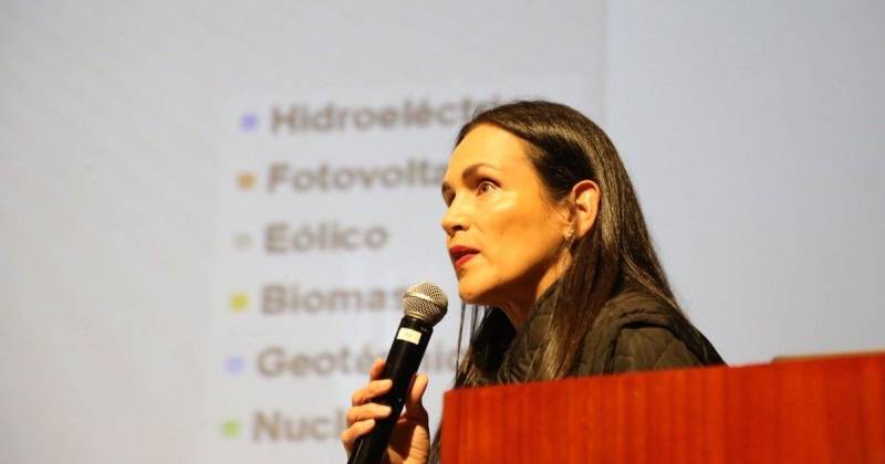 Destacó que se han incorporado 860 megavatios adicionales al sistema eléctrico / Foto: cortesía MAE