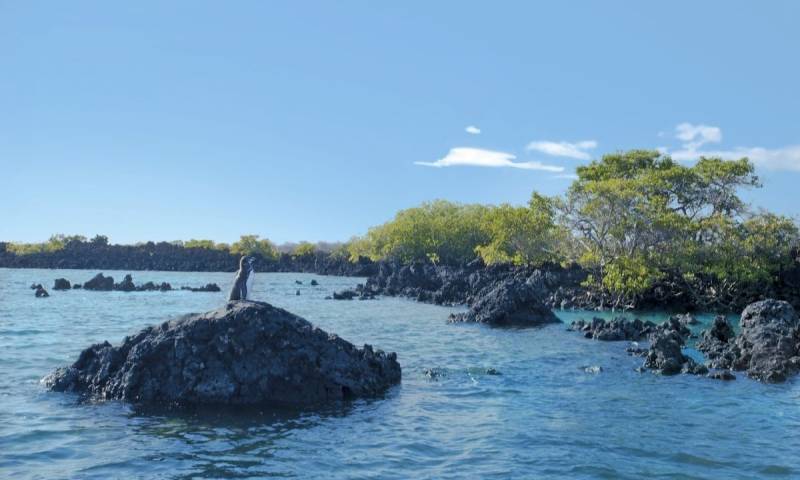 Principales noticias de Ecuador hoy - 6 de enero de 2026 / Foto: cortesía Ministerio de Turismo