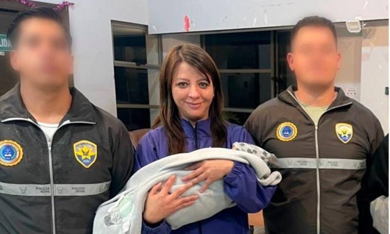 El operativo se realizó con la colaboración de la organización estadounidense OUR Rescue / Foto: cortesía