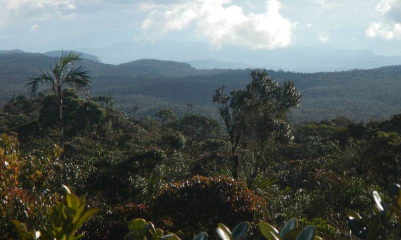 Reserva Biológica El Quimi - Foto: El Universo