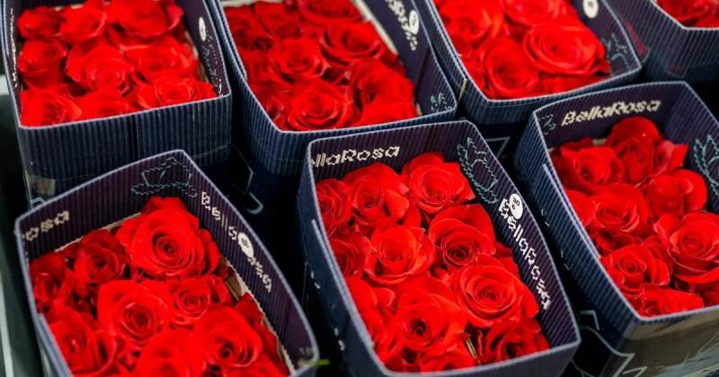 El color rojo sigue siendo el favorito, con una proyección del 80% del total de ventas / Foto: cortesía
