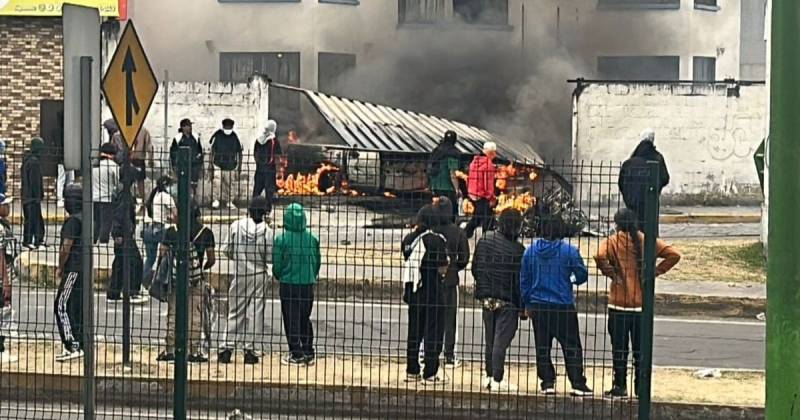 Los manifestantes cruzaron troncos y ramas de árboles en una vía del norte de la provincia de Pichincha / Foto: cortesía Policía Nacional