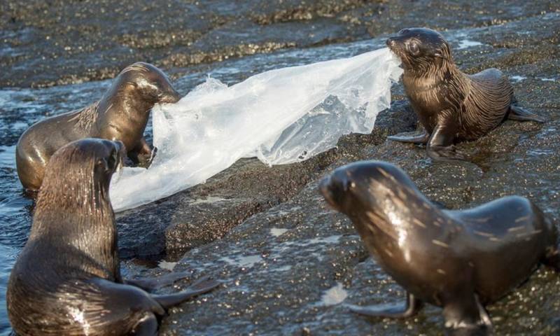 Durante la sesión se logró regular los productos plásticos problemáticos y evitables / Foto: cortasía WWF