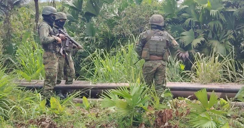 6 grupos terroristas están involucrados en este delito./ Foto: cortesía Ejército