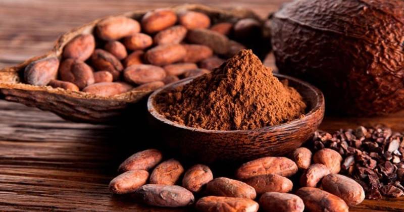 El precio del cacao registró una fuerte recuperación, con un alza de más del 6 % / Foto: cortesía Cámara Peruana