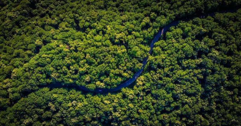 El plan contempla tres tipos de infraestructura: fibra óptica fluvial, fibra subterránea e interconexión terrestre con redes ya existentes / Foto: cortesía Fondo Económico Mundial