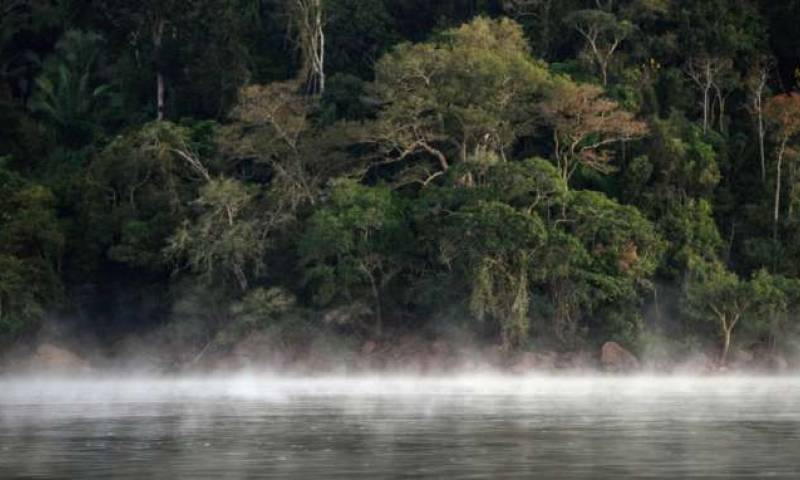 ALERTA. Según el informe, existe una conexión directa entre la expansión de las vías y la eliminación de la vegetación nativa. Foto: La Hora