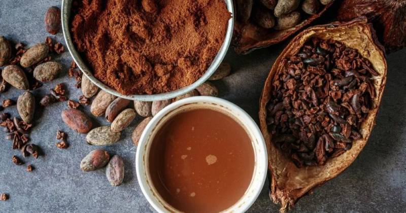 Las asociaciones de la industria registraron descensos en la molienda de cacao en Europa y Asia / Foto: cortesía Anáhuac México