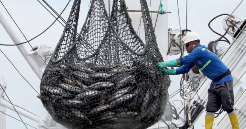 Manta, considerada el corazón de la industria atunera ecuatoriana / Foto: cortesía Ministerio de Producción