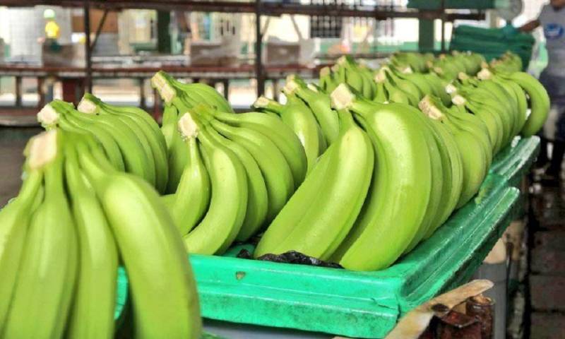 Principales noticias de Ecuador hoy - 5 de septiembre de 2023 / Foto: cortesía AEBE