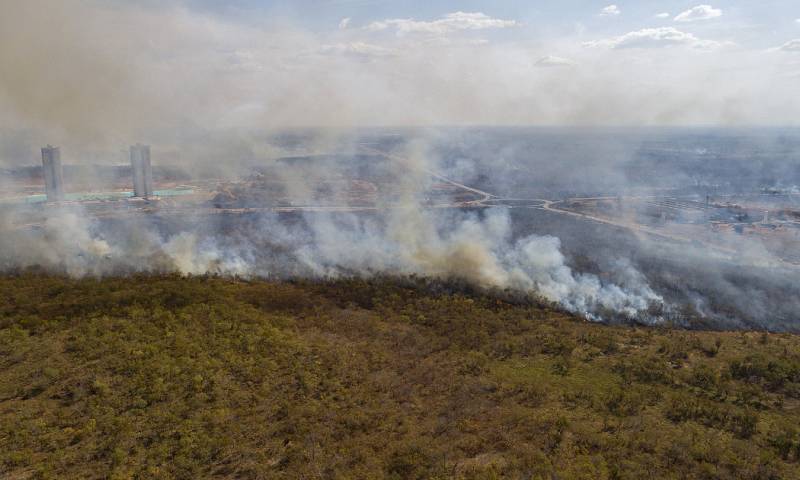 De acuerdo con los datos del sistema de alertas de deforestación del Inpe, el mes pasado fueron devastados 322 kilómetros cuadrados de vegetación nativa / Foto: EFE