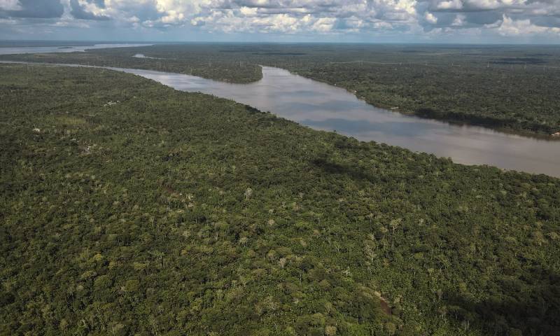 Con sus siete millones de kilómetros cuadrados, la Amazonía es el área de mayor biodiversidad del planeta y la principal reserva hídrica del mundo / Foto: EFE