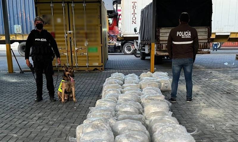 El decomiso se realizó al inspeccionar con un perro antidrogas el contenedor que se encontraba en uno de los muelles del puerto de Guayaquil / Foto: cortesía Policía