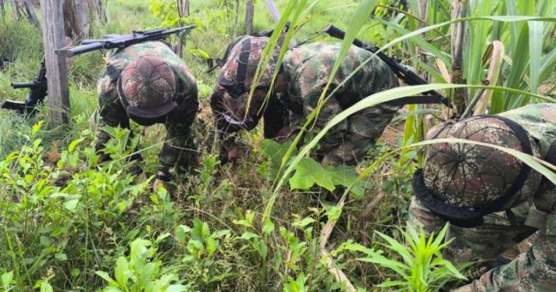 Los pliegos exigen que el glifosato tenga una concentración de 480 gramos por litro / Foto: cortesía Fuerzas Militares de Colombia