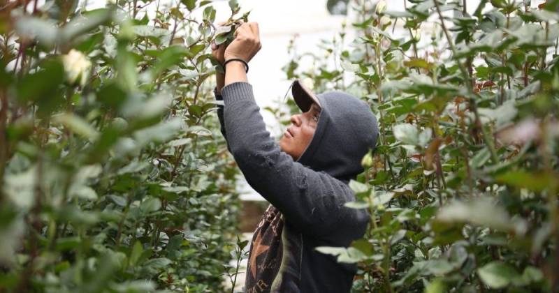 El programa se ejecutará a través de la modalidad de banca de segundo piso de la CFN / Foto: cortesía CFN