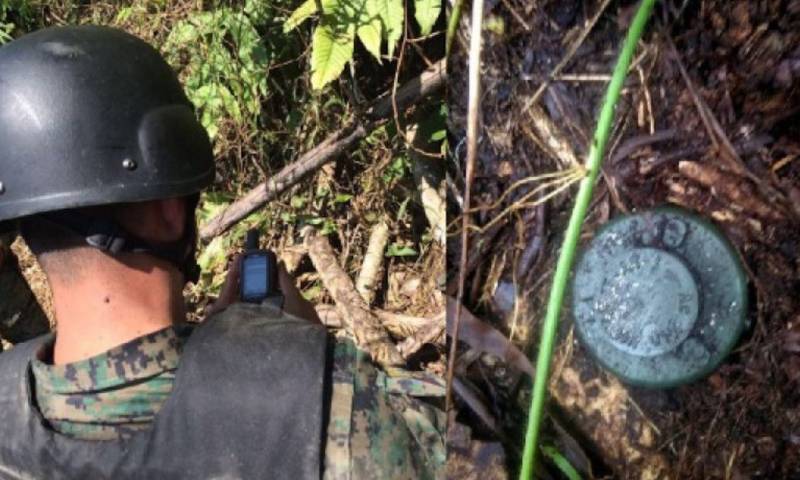 Ecuador participó en conversatorio sobre desminado en la frontera con Perú / Foto: cortesía Cancillería