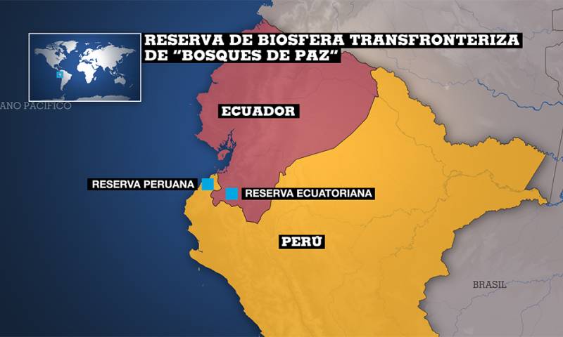 Foto: France24