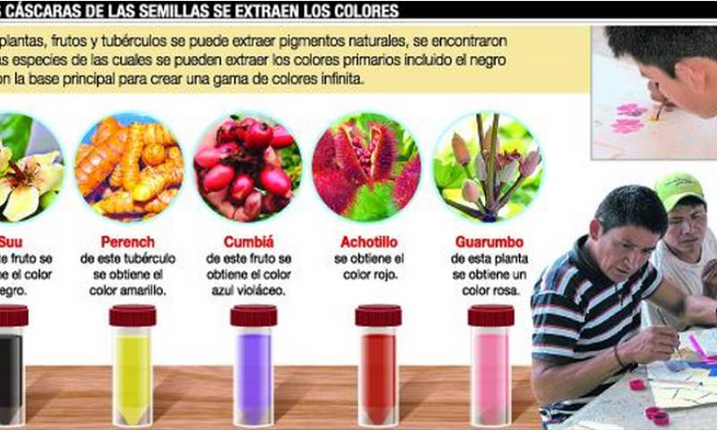 Foto; Expreso