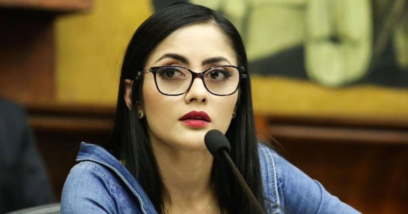 Viviana Veloz preside la Comisión de Protección de la Niñez y Adolescencia de la Asamblea / Foto: cortesía Viviana Veloz