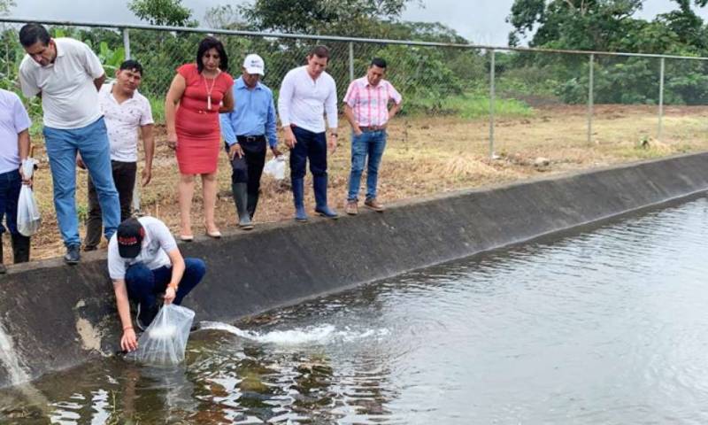 Foto: El Telégrafo 