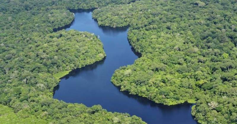 El trabajo forzado es parte integral de actividades como la deforestación, la ganadería, la minería ilegal y el tráfico de madera / Foto: cortesía Fundación Aquae
