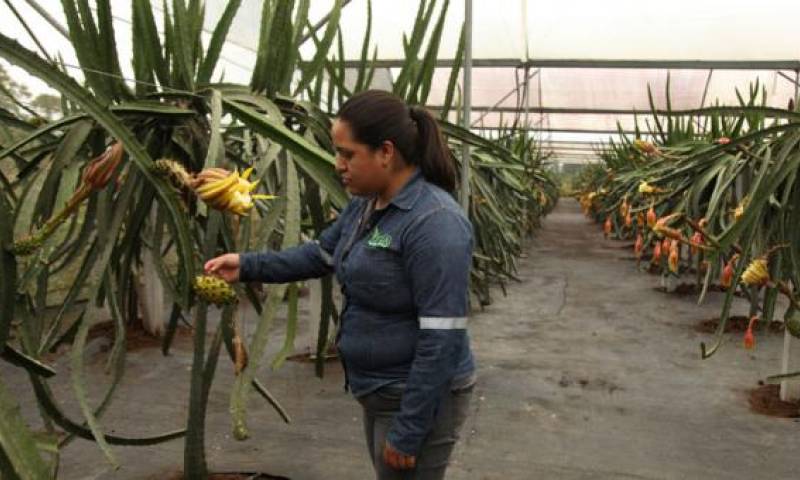 Foto: El Comercio